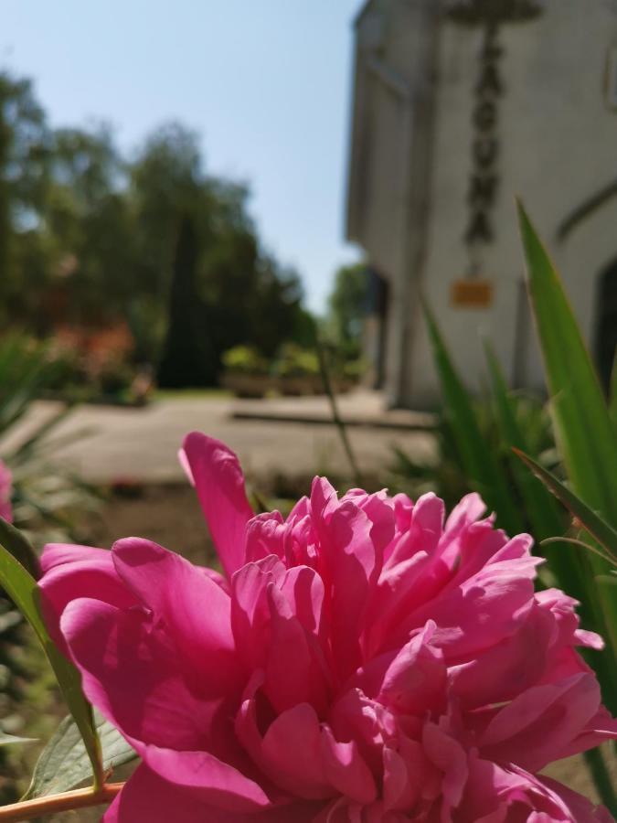 Gárdony Laguna Panzio المظهر الخارجي الصورة